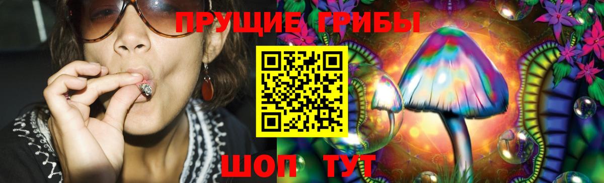 Ейск  Псилоцибиновые грибы мицелий  Вход с VPN 